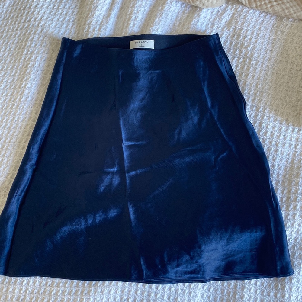 Aritzia Babaton silk skirt